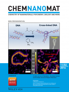 Cover_ChemNanoMat 2(11)